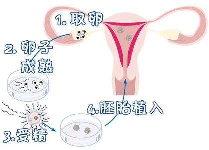 智能实验室